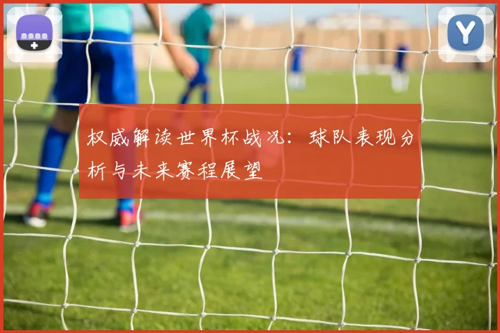 权威解读世界杯战况：球队表现分析与未来赛程展望