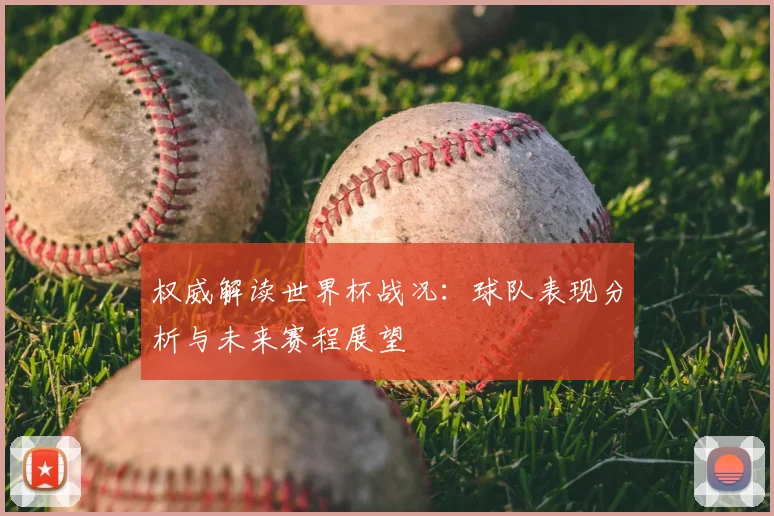 权威解读世界杯战况：球队表现分析与未来赛程展望