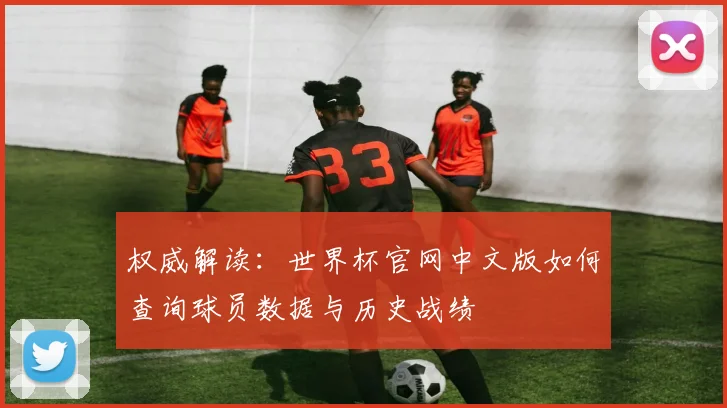 权威解读：世界杯官网中文版如何查询球员数据与历史战绩