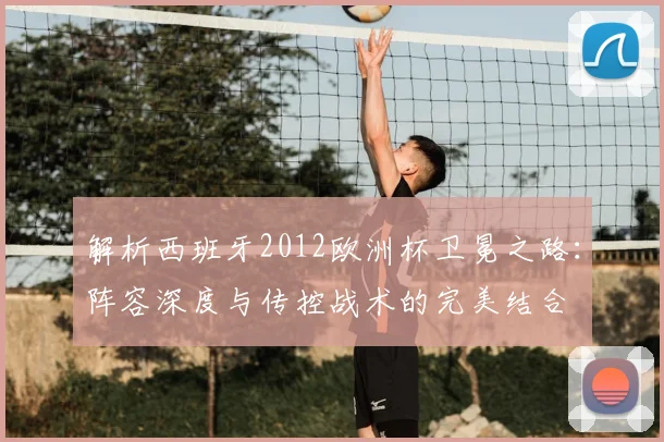 解析西班牙2012欧洲杯卫冕之路：阵容深度与传控战术的完美结合