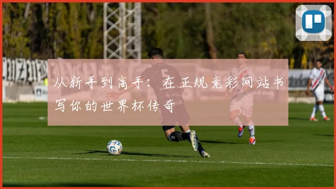 从新手到高手：在正规竞彩网站书写你的世界杯传奇