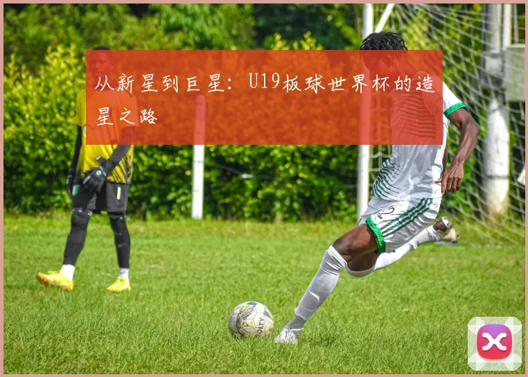 从新星到巨星：U19板球世界杯的造星之路