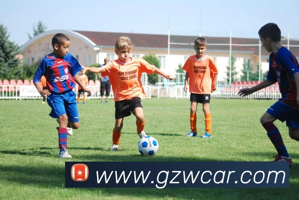 App Interface Preview